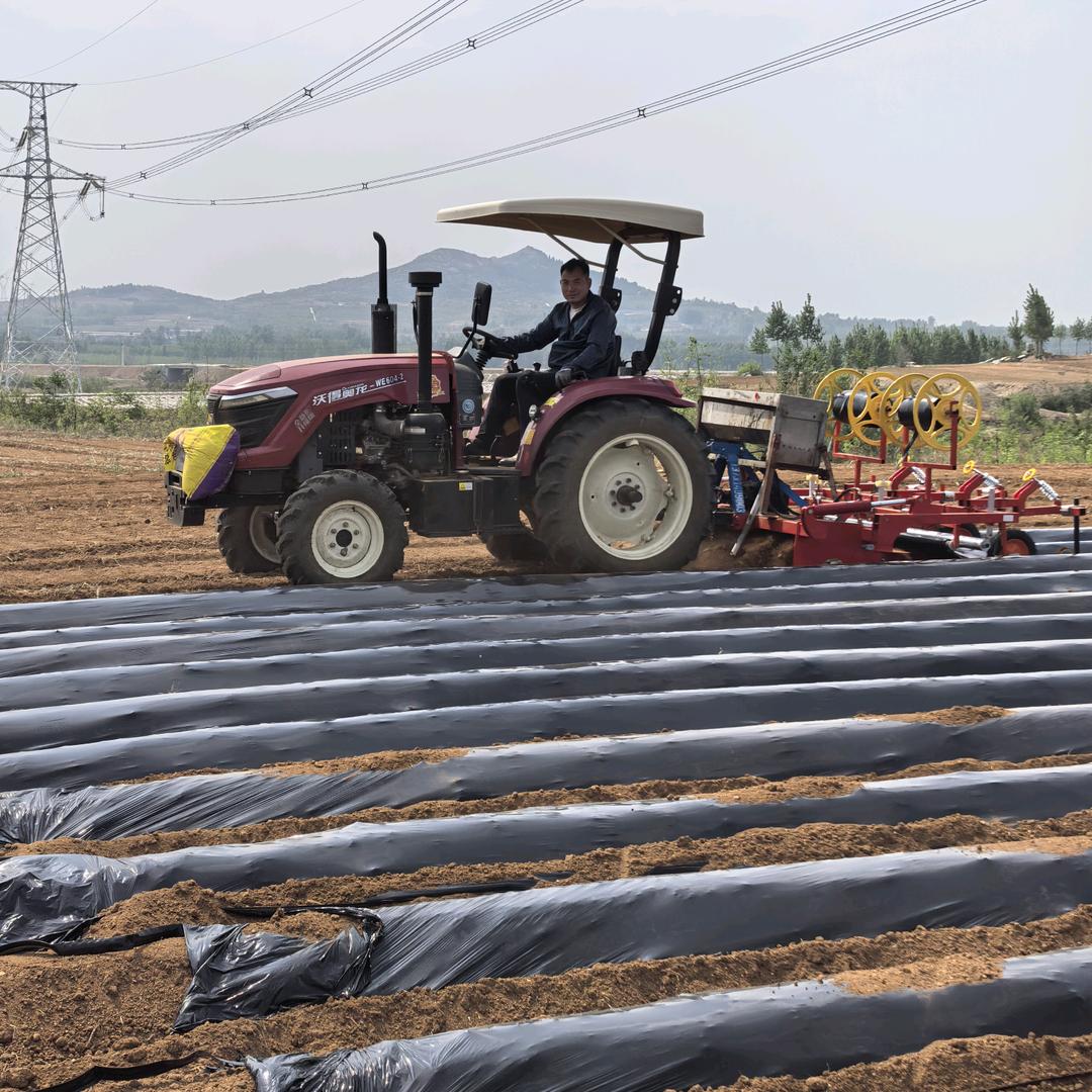 70后兵支书农产优选（戴福伟）