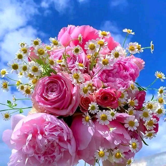 ໑ຼₒ₂₄ღ᭄傻丫头🕊꧔ꦿ᭄💞