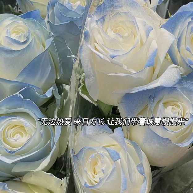 (っ'-')╮=͟͟͞͞💌小燕子