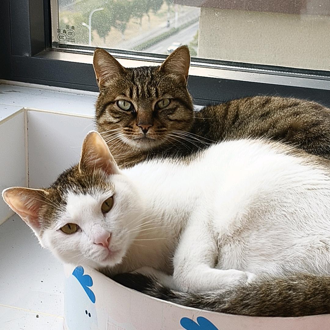 我爱钱 钱爱我🤣