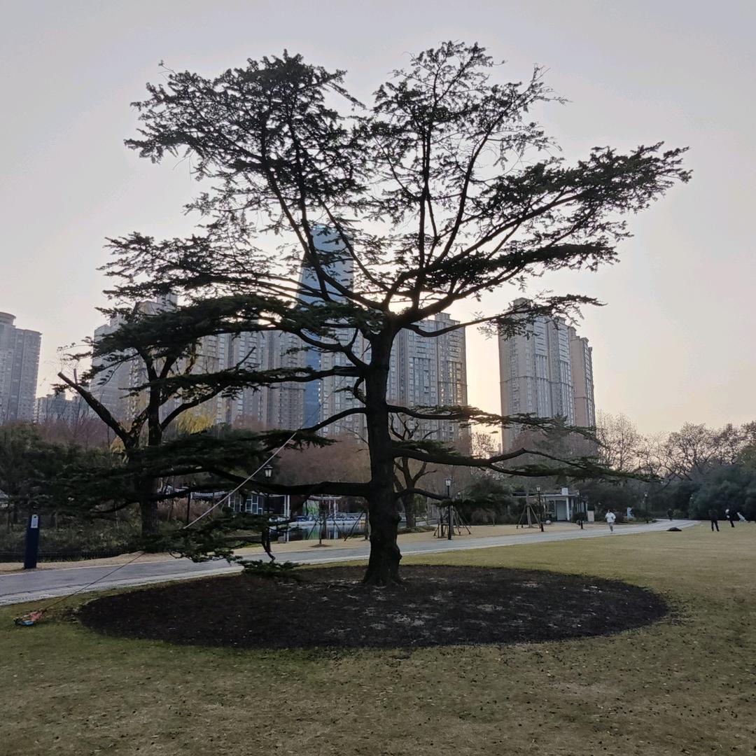 以❤️换❤️