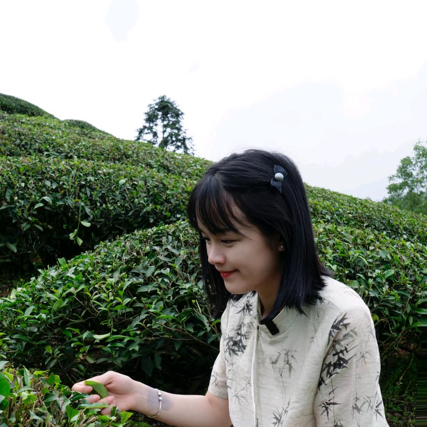 花不完茶叶店