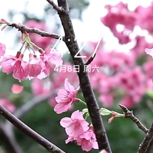 刘安桂