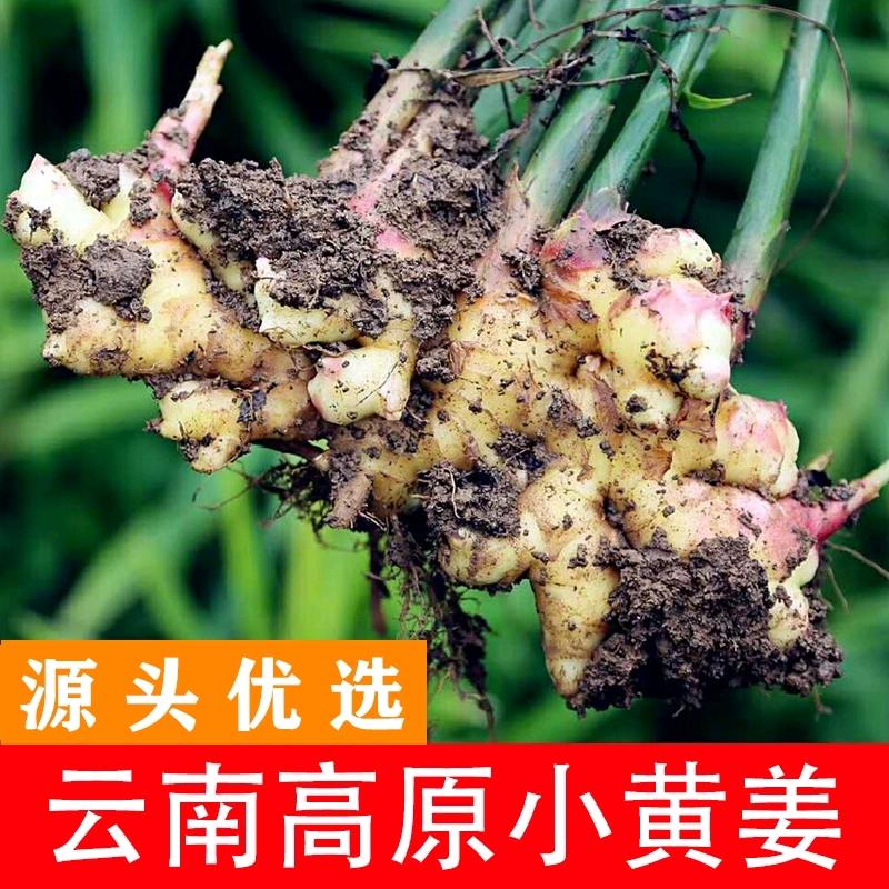 幺幺七生鲜店
