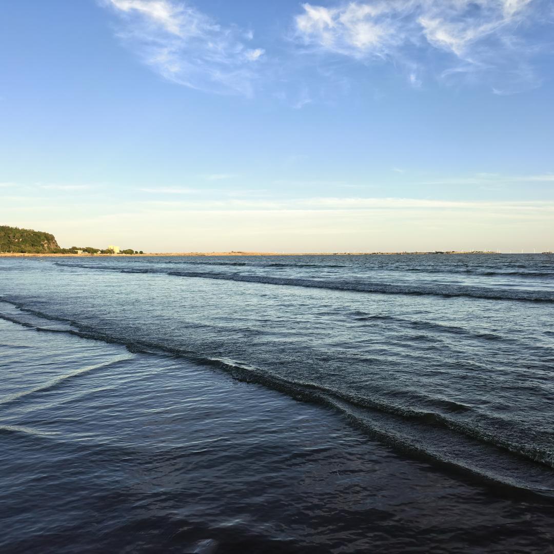 海豚咬鲨鱼