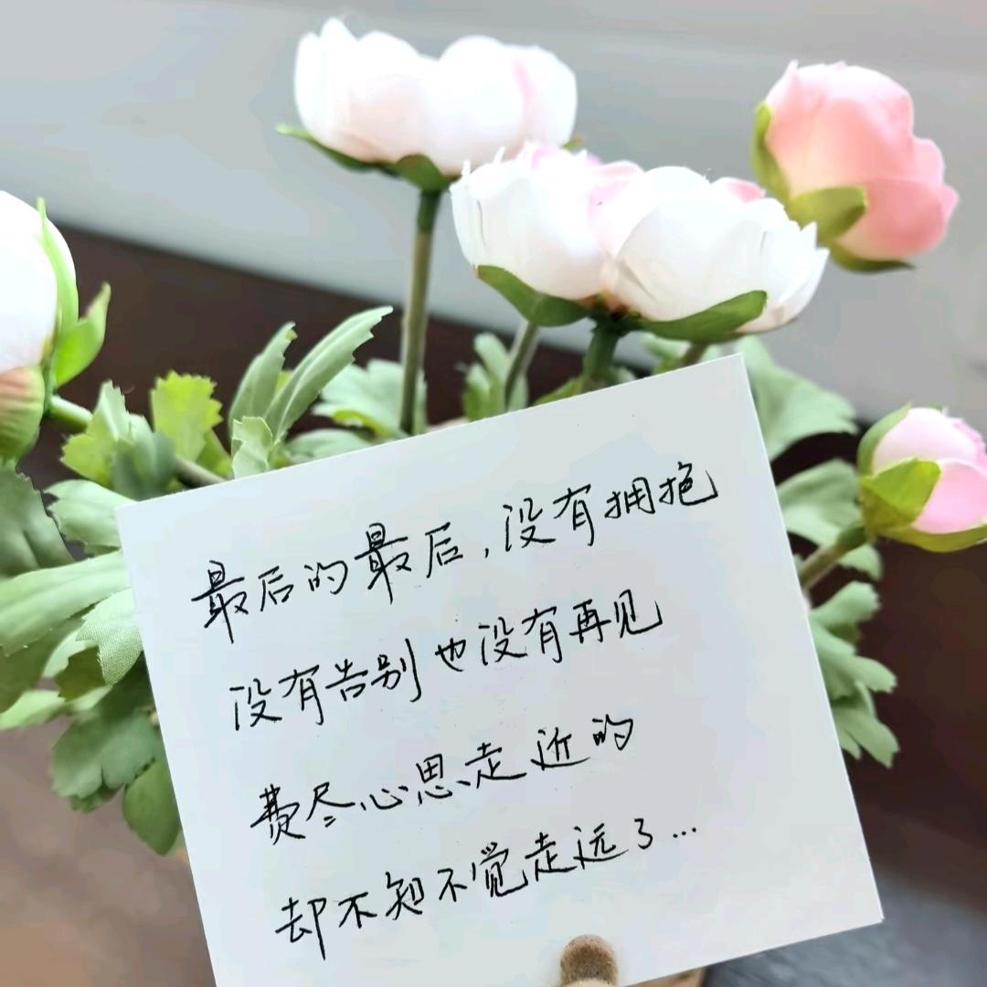 🥂ᐝ⃨微ོ醺༉ᩚᶫᵒᵛᵉ