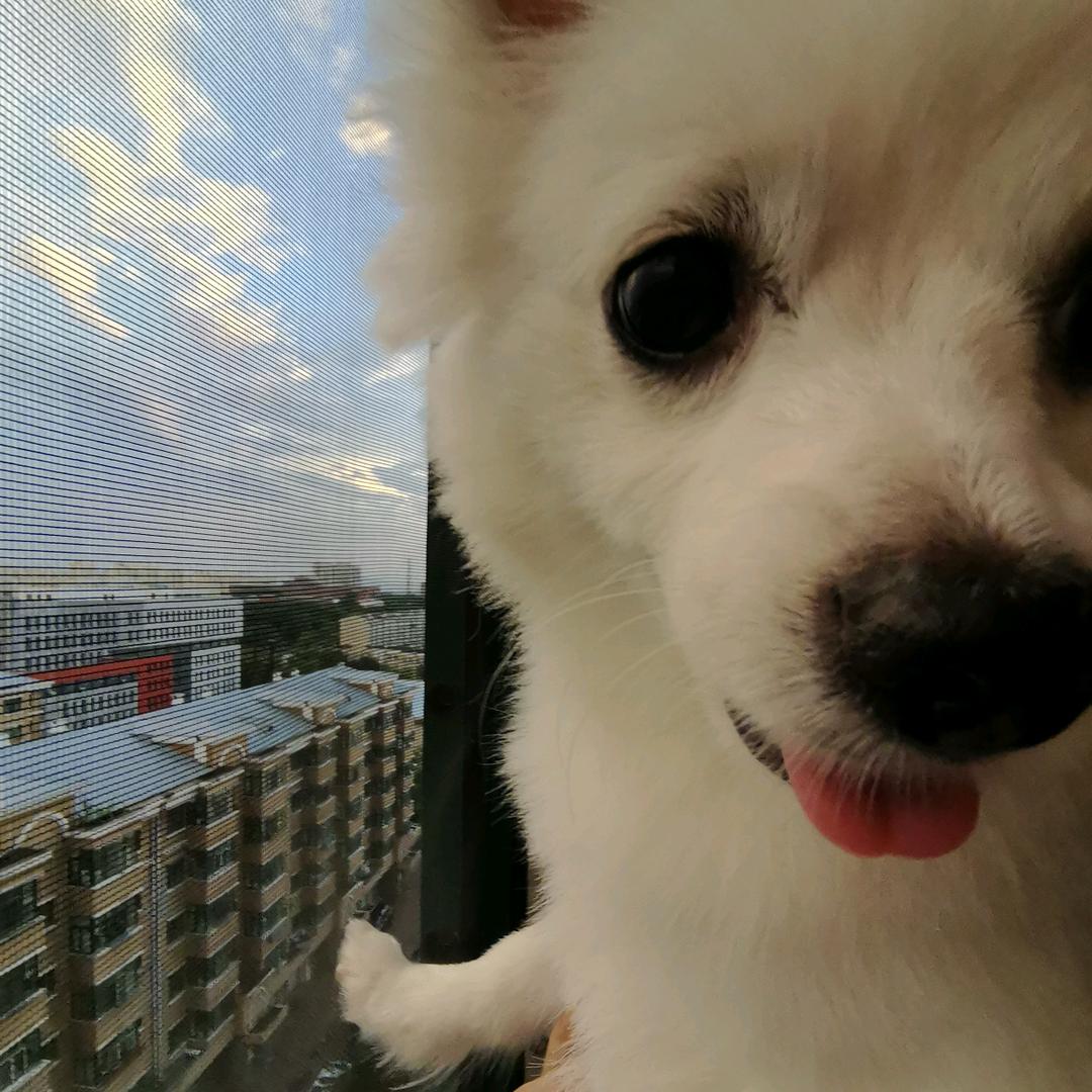 诺米团