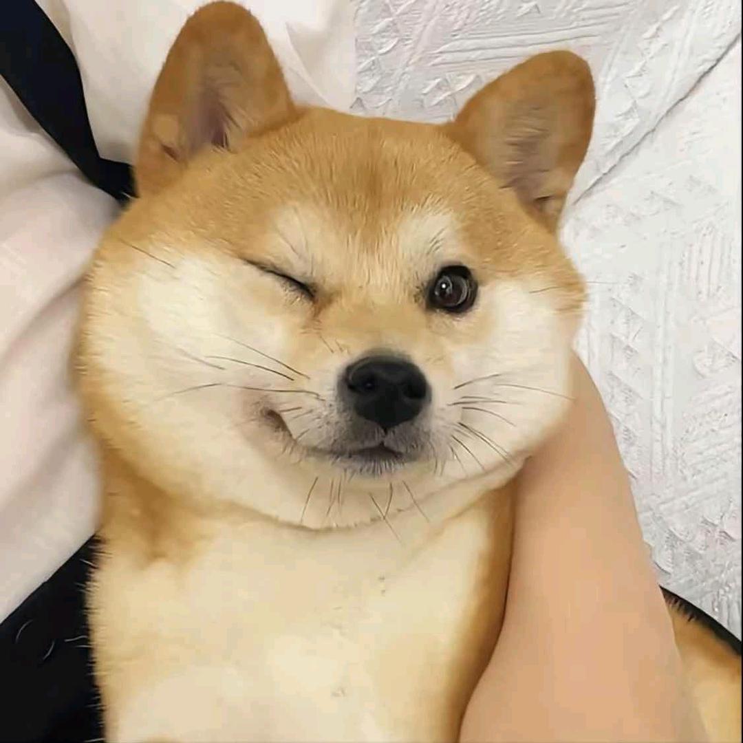 唯美食不可辜负也