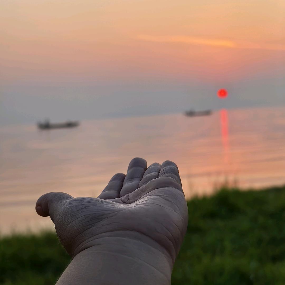 QC青橙