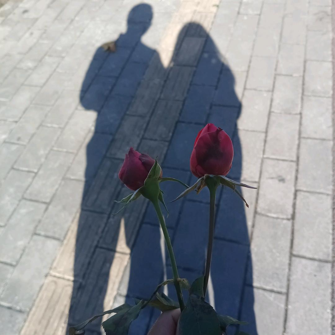 ᥫᩣ༠° 喜 ഒᩚ 樂 ࿐ᩚ