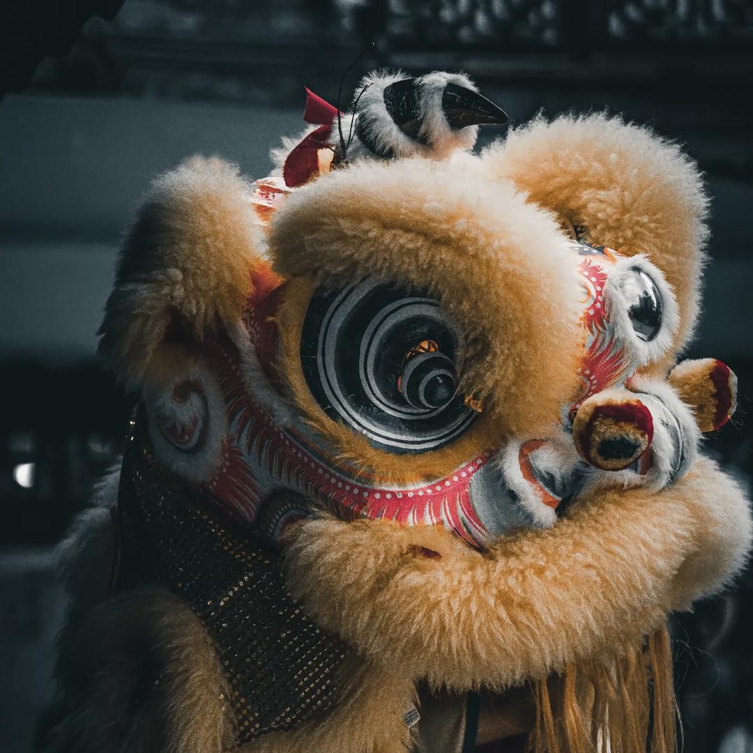 @安阳精武龙狮团