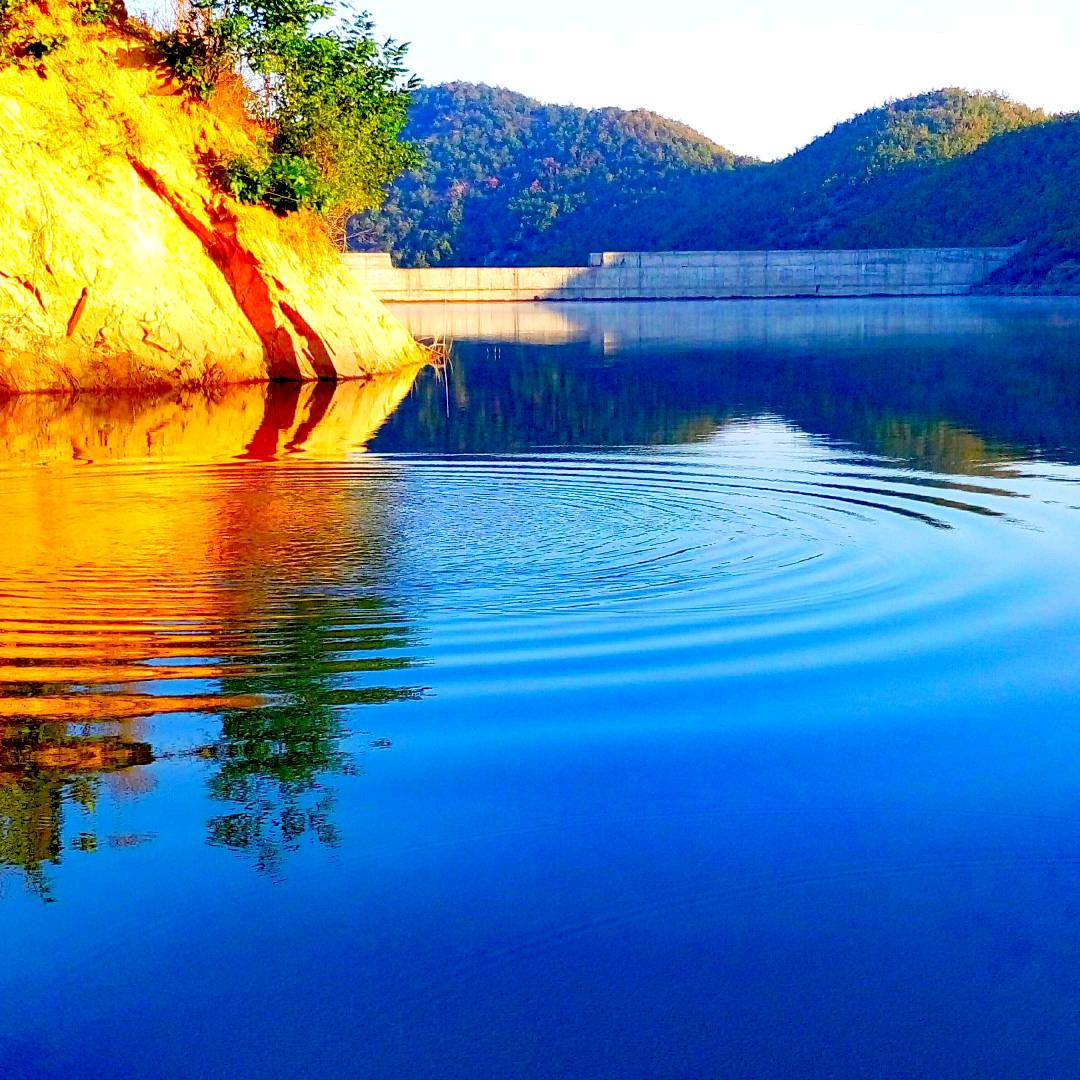 昌盛苑盆景（小号）