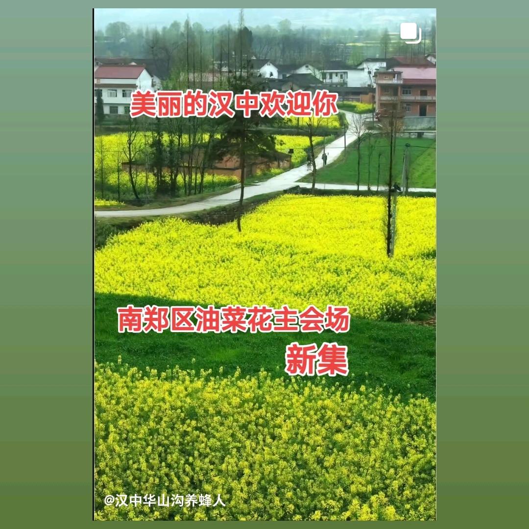 你家房孑好漂亮