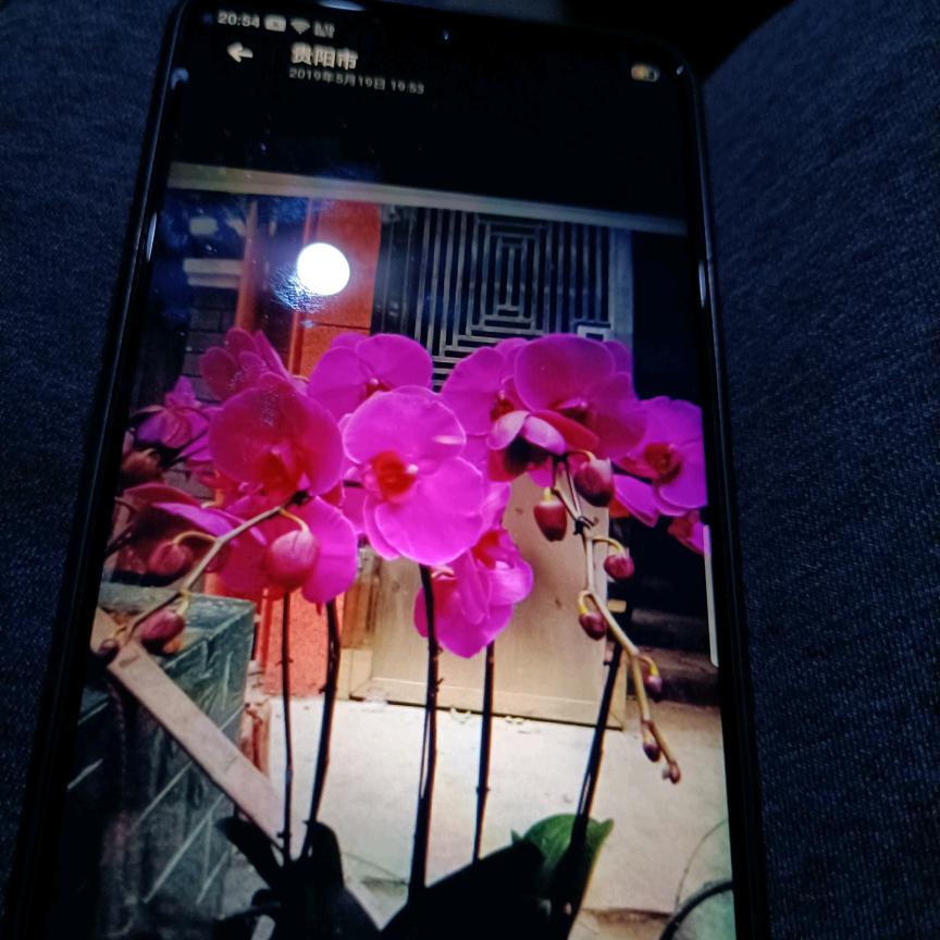雨过后的彩虹