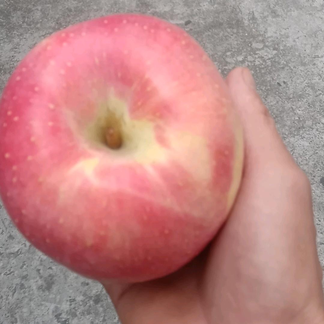钓鱼人钓鱼的心