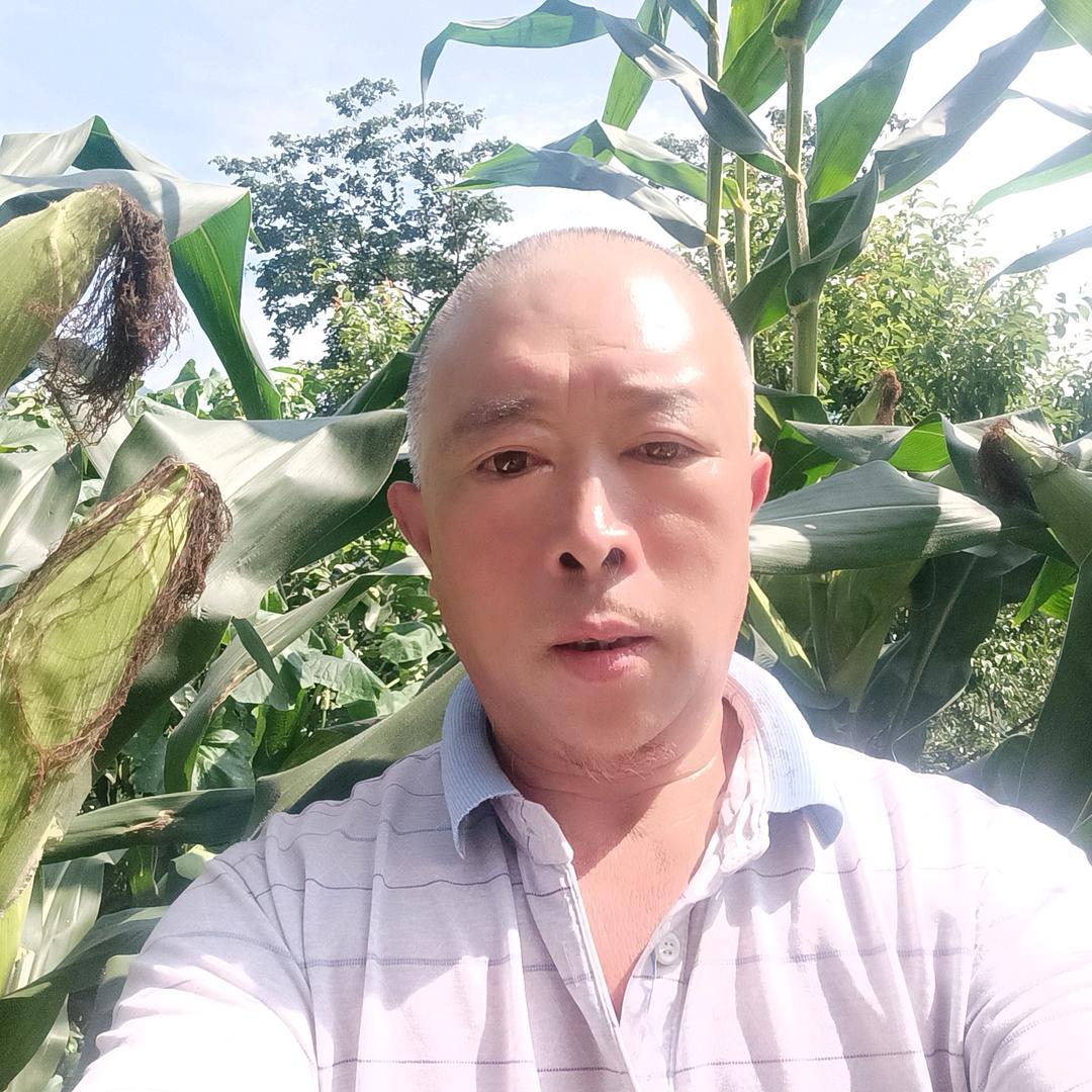 杨林贵