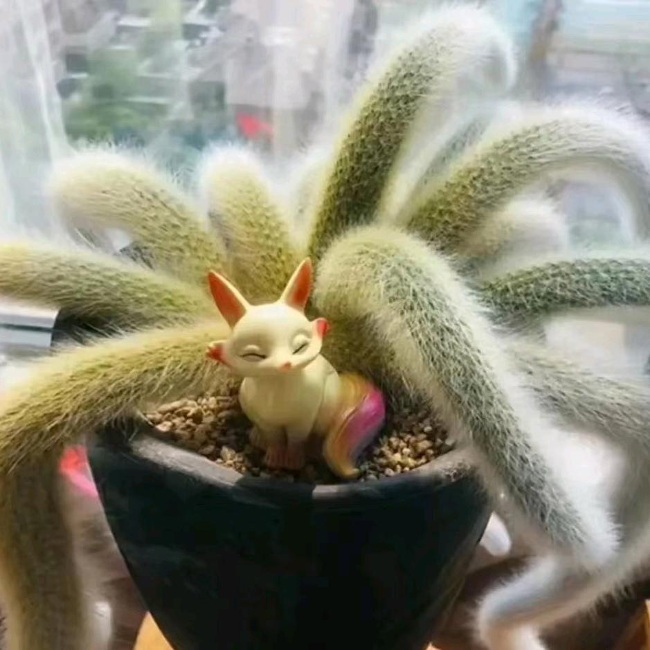 懒得起名＄