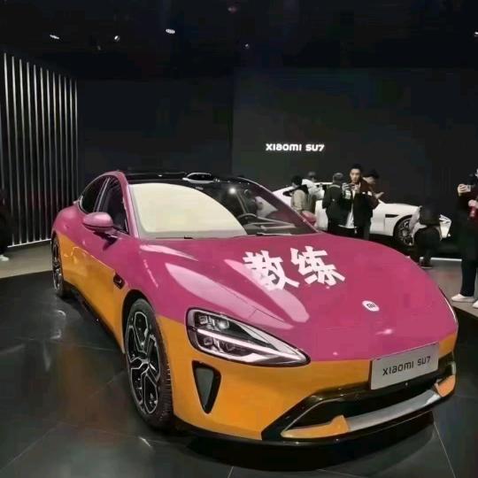 深圳鹏安驾培
