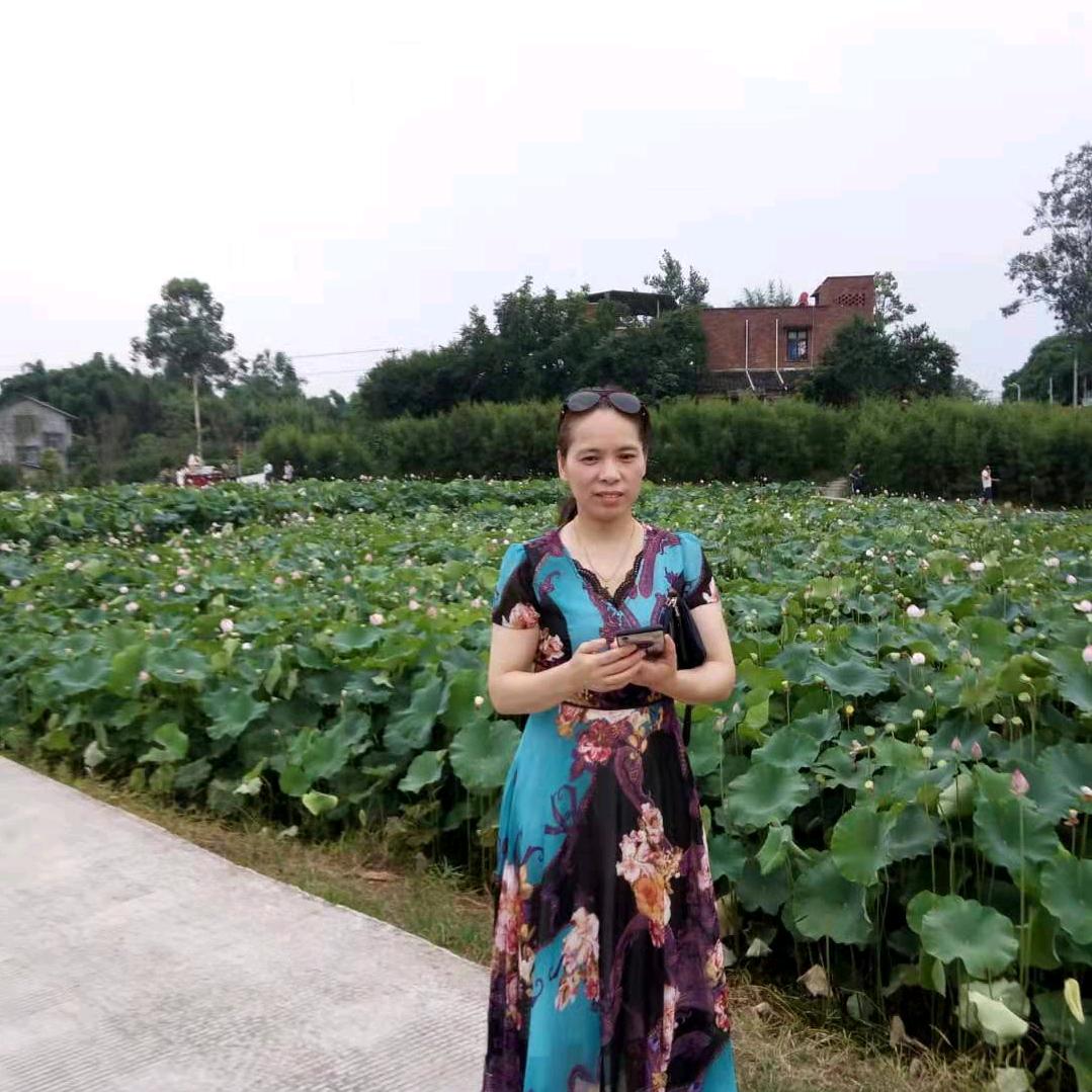 用户75604205092梅