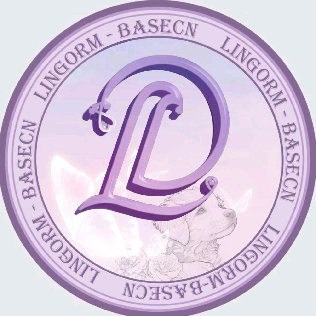LingOrm_BaseCN