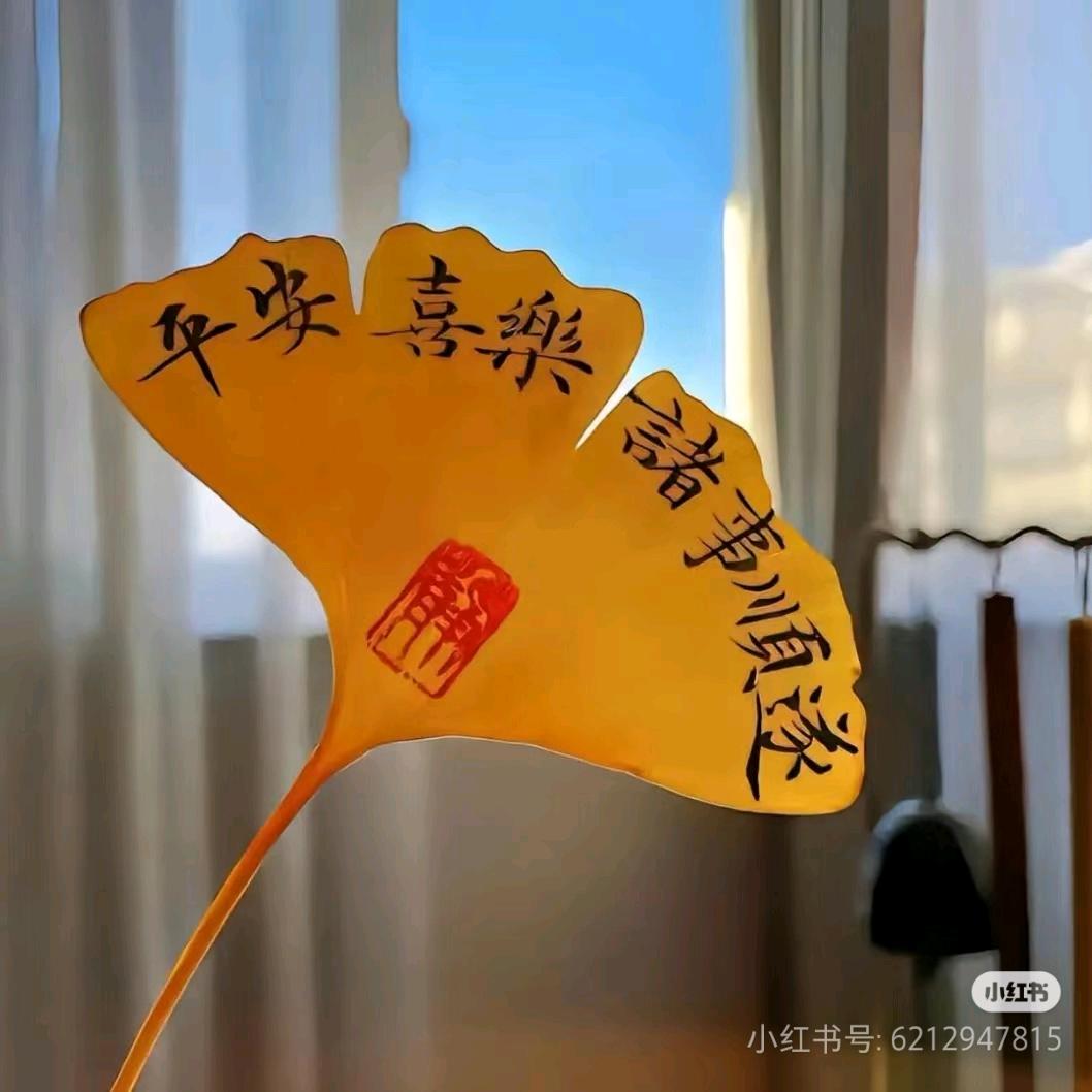 乐乐乐乐