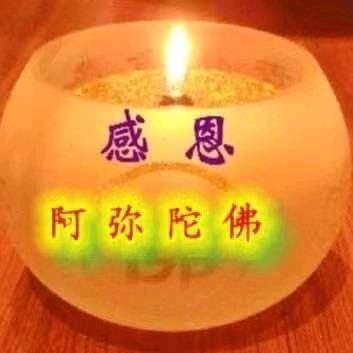 雨后娇阳