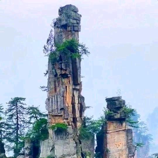 峻岭清风播客