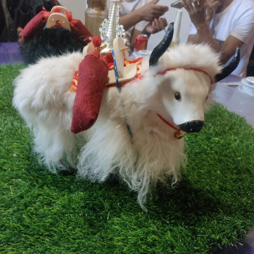 石一尔第