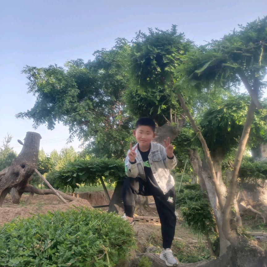 做不到真诚，别靠近我。