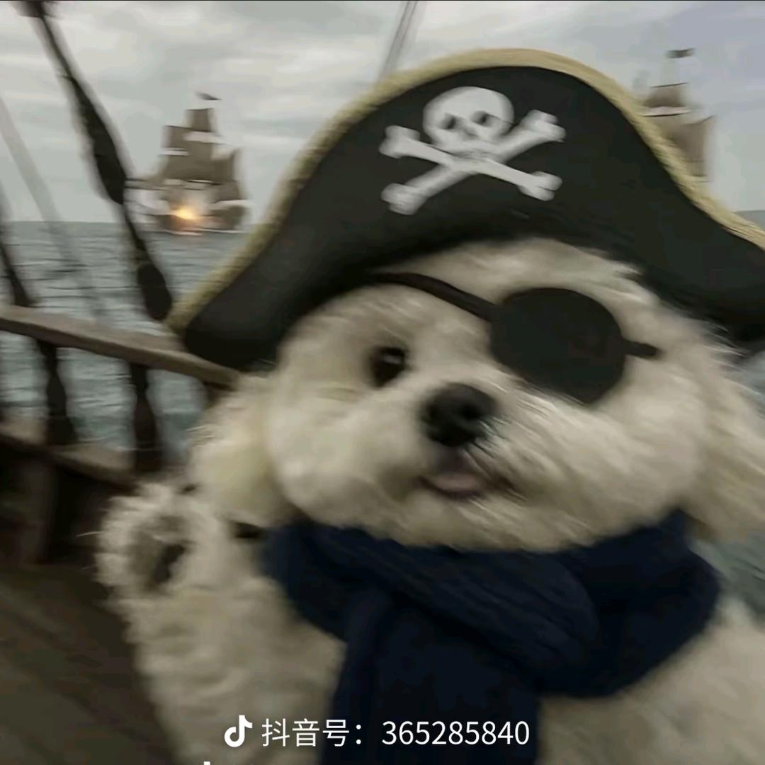 裴九斤.