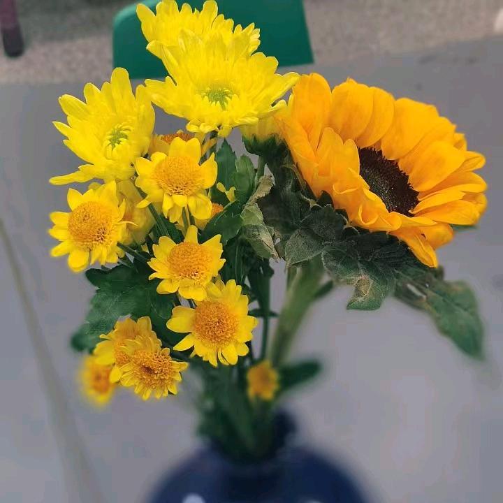 济南济阳区希望美术教育灿灿老师💐