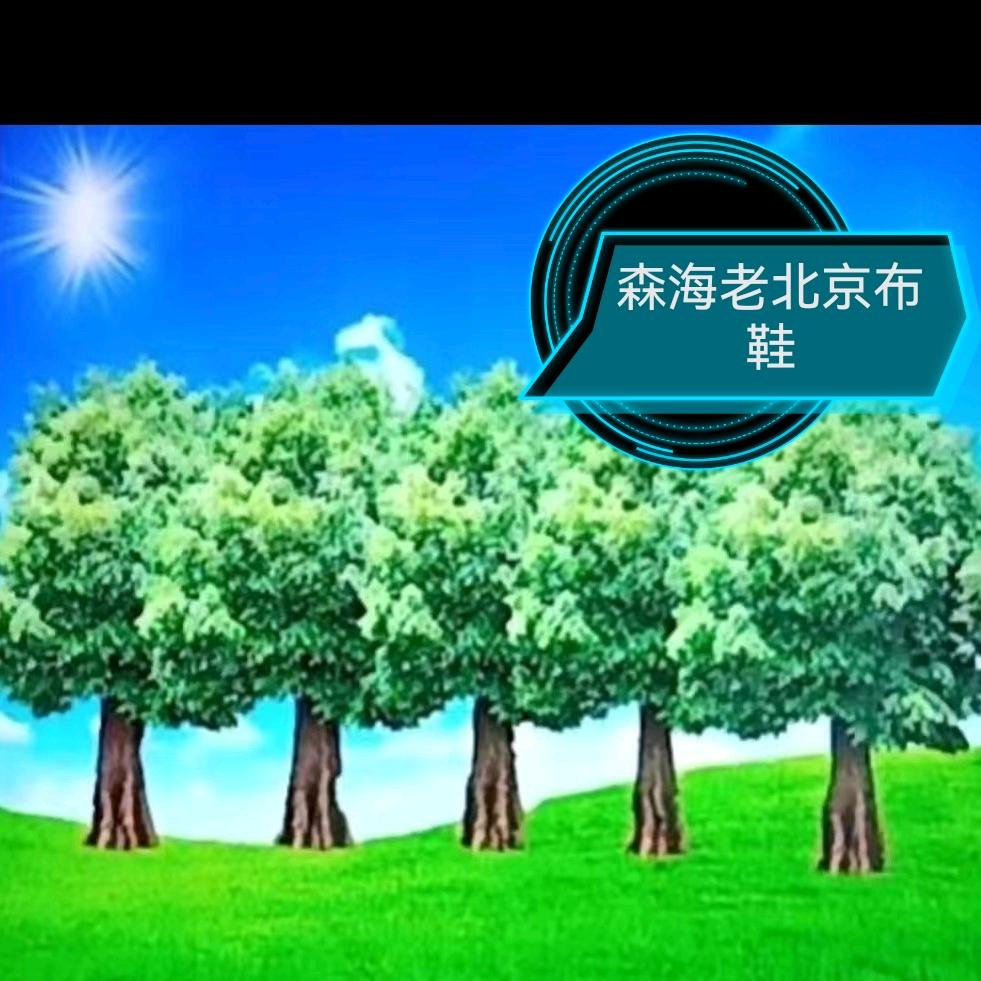 东海市场森海老北京布鞋娇娇工作号