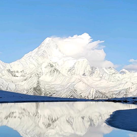 蓝冰