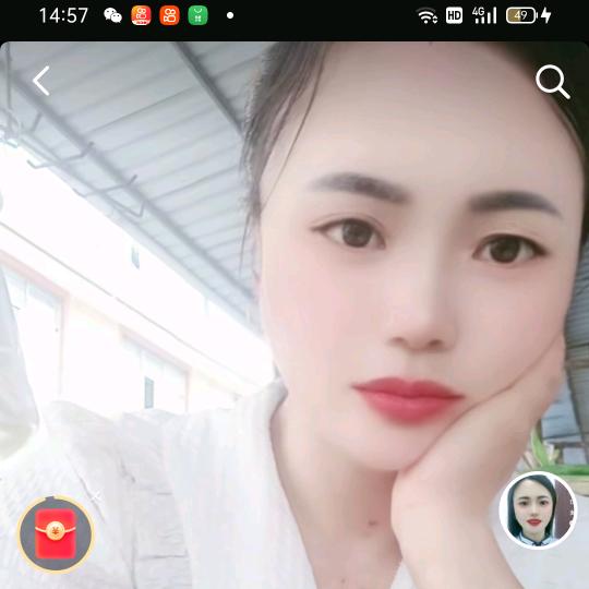 小燕子