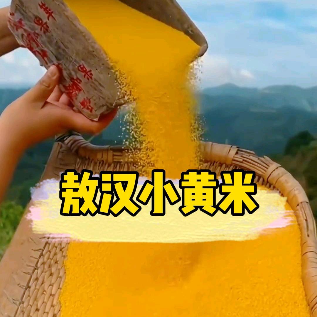 好友好多米
