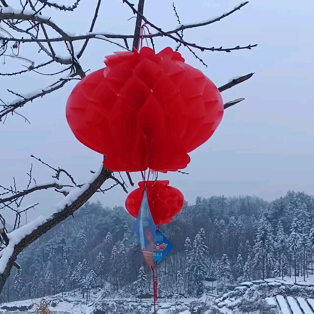 周妈妈