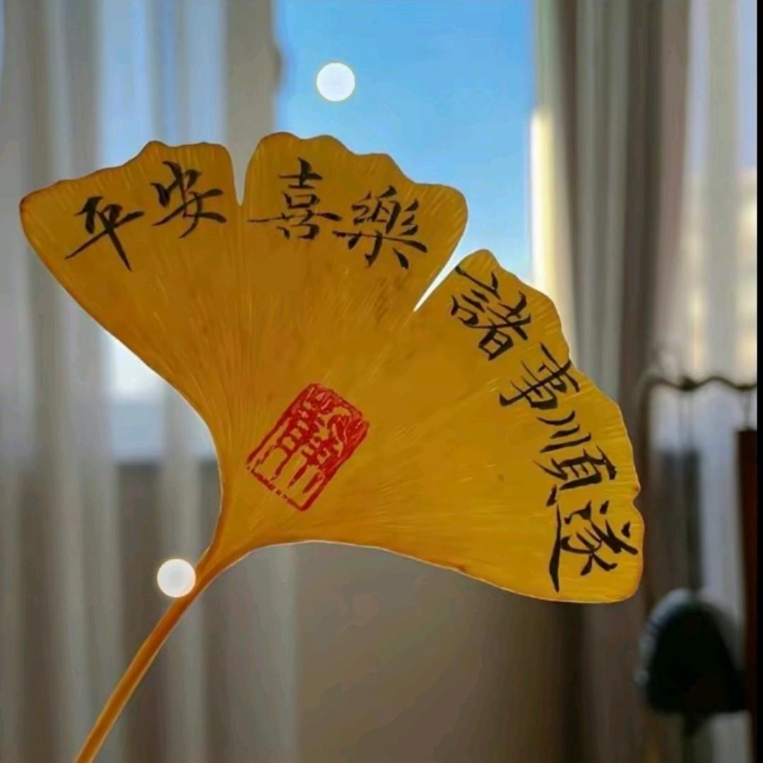 ʚ辛夷ɞ
