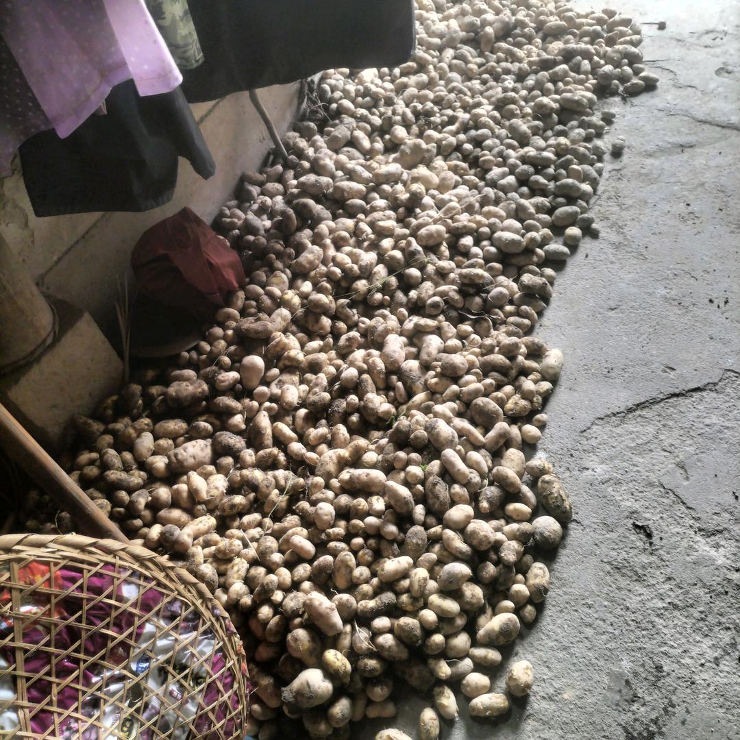 金者来必星闪👏