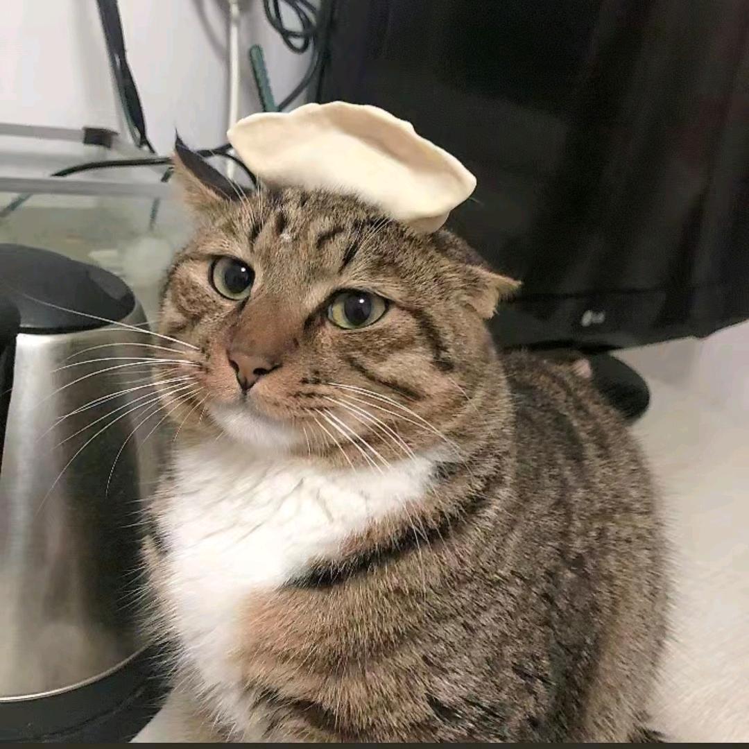 汪汪汪汪汪汪lin