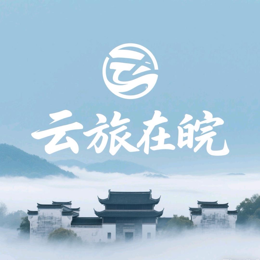 云旅影视🎬