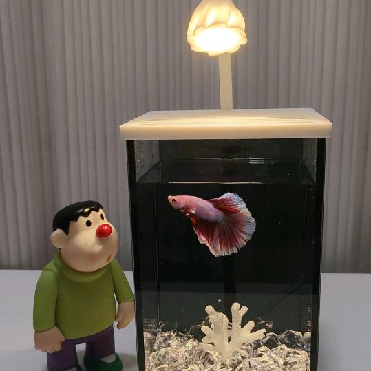 一加一水族