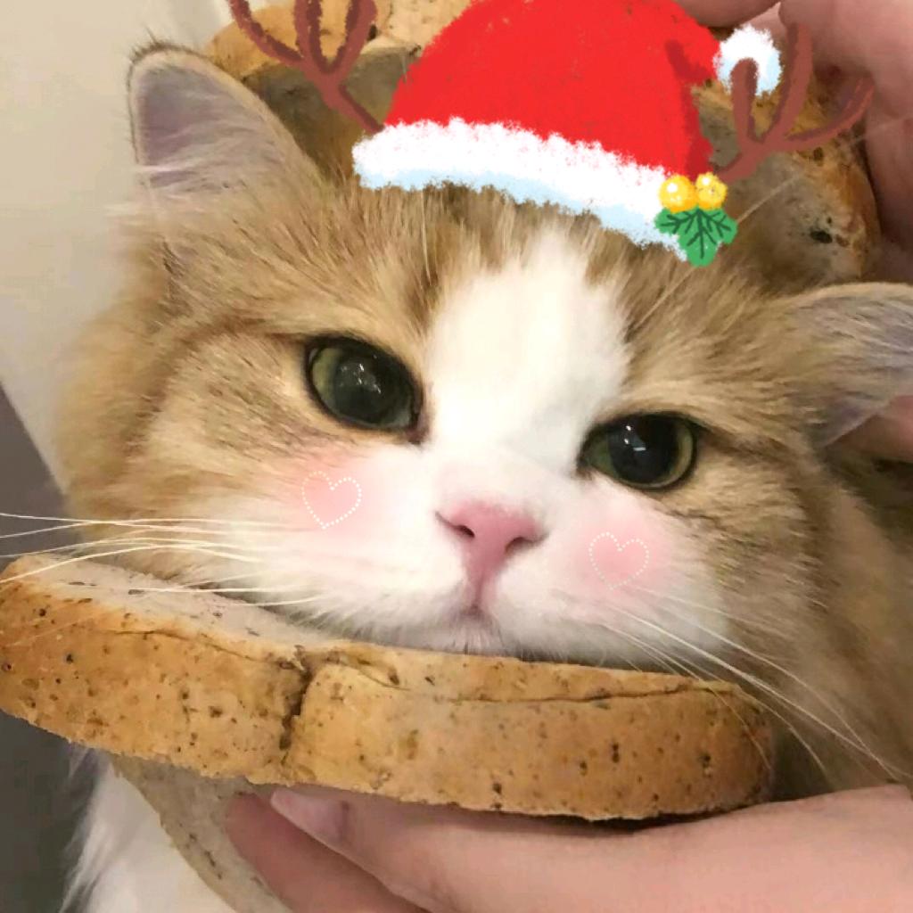 灰灰的调音日记［Grey音频］