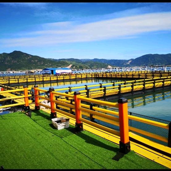 网箱厂家-大智若渔