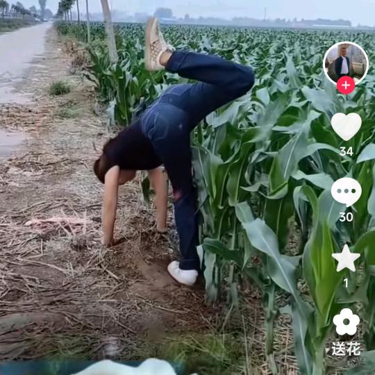 窑弯粮油加工坊