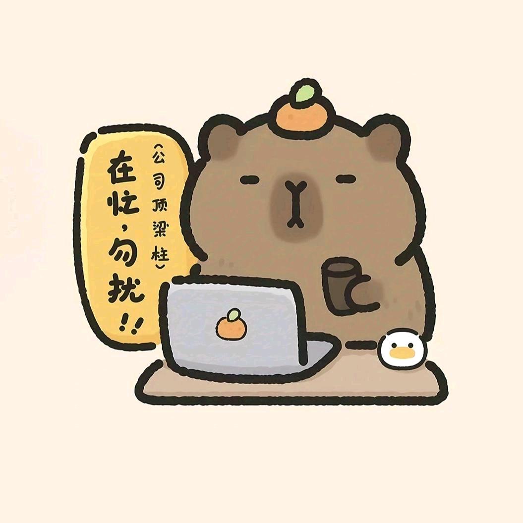 CC优选