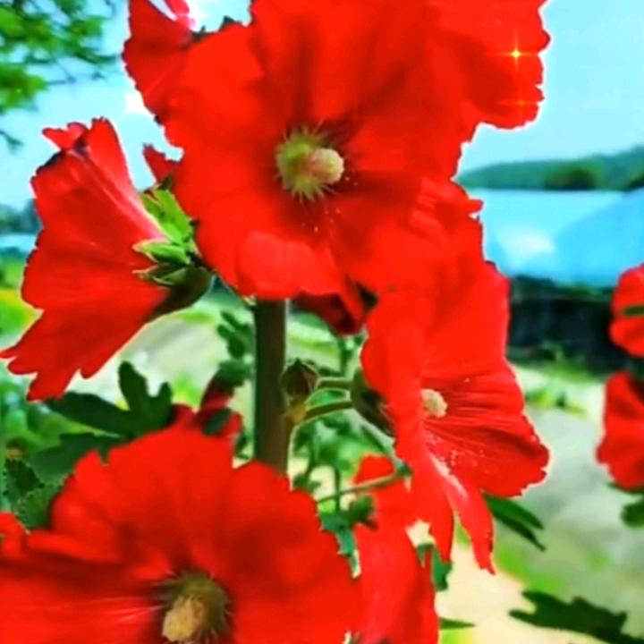 8888