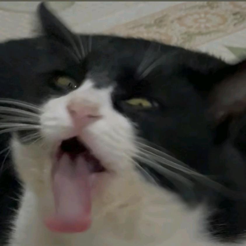 柠檬糖.