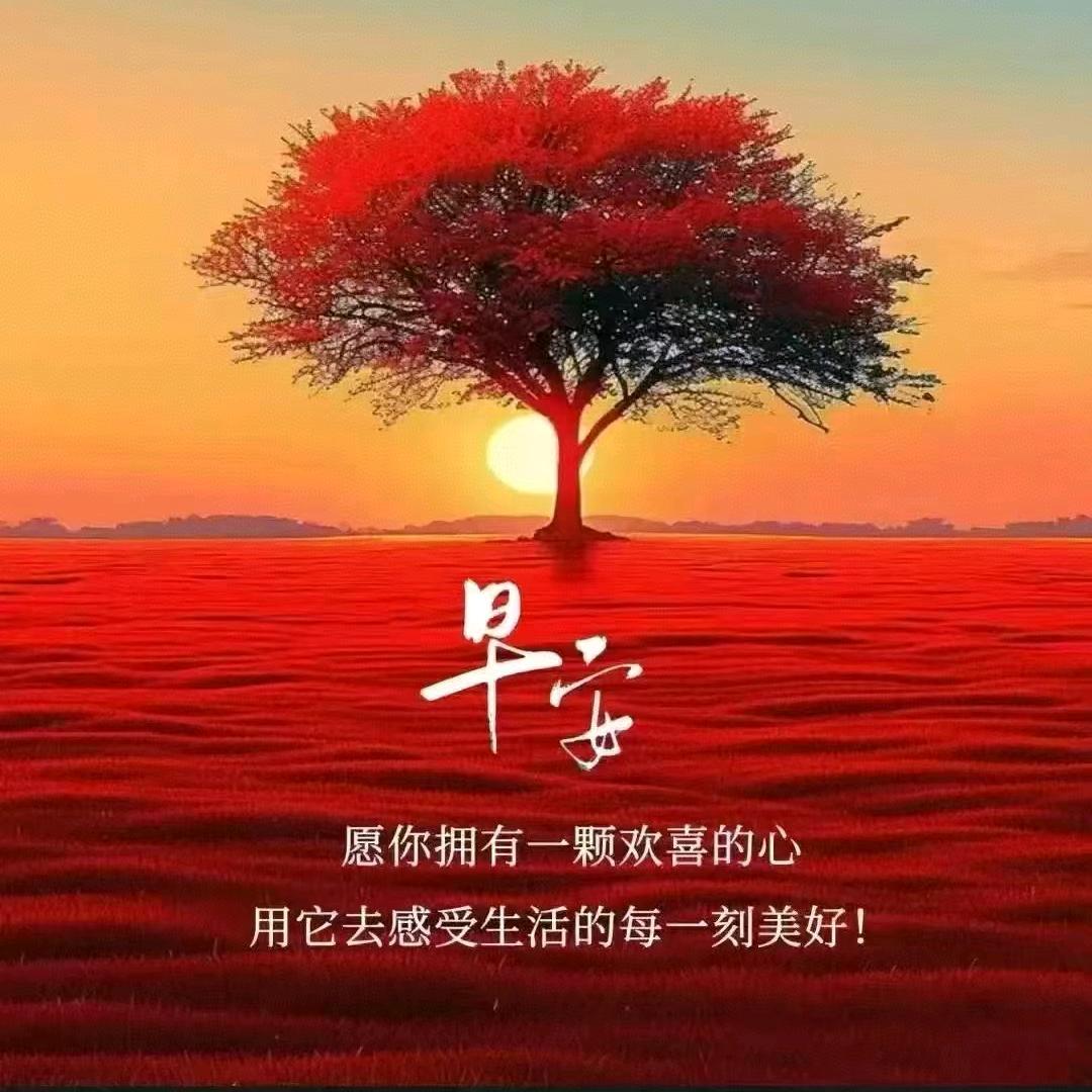 ℳyi๓si᭄meꦿei᭄liꦿ