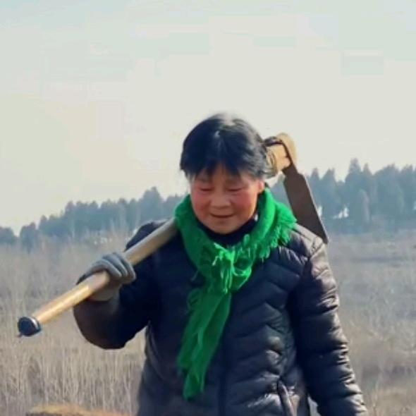 赵阿姨11584