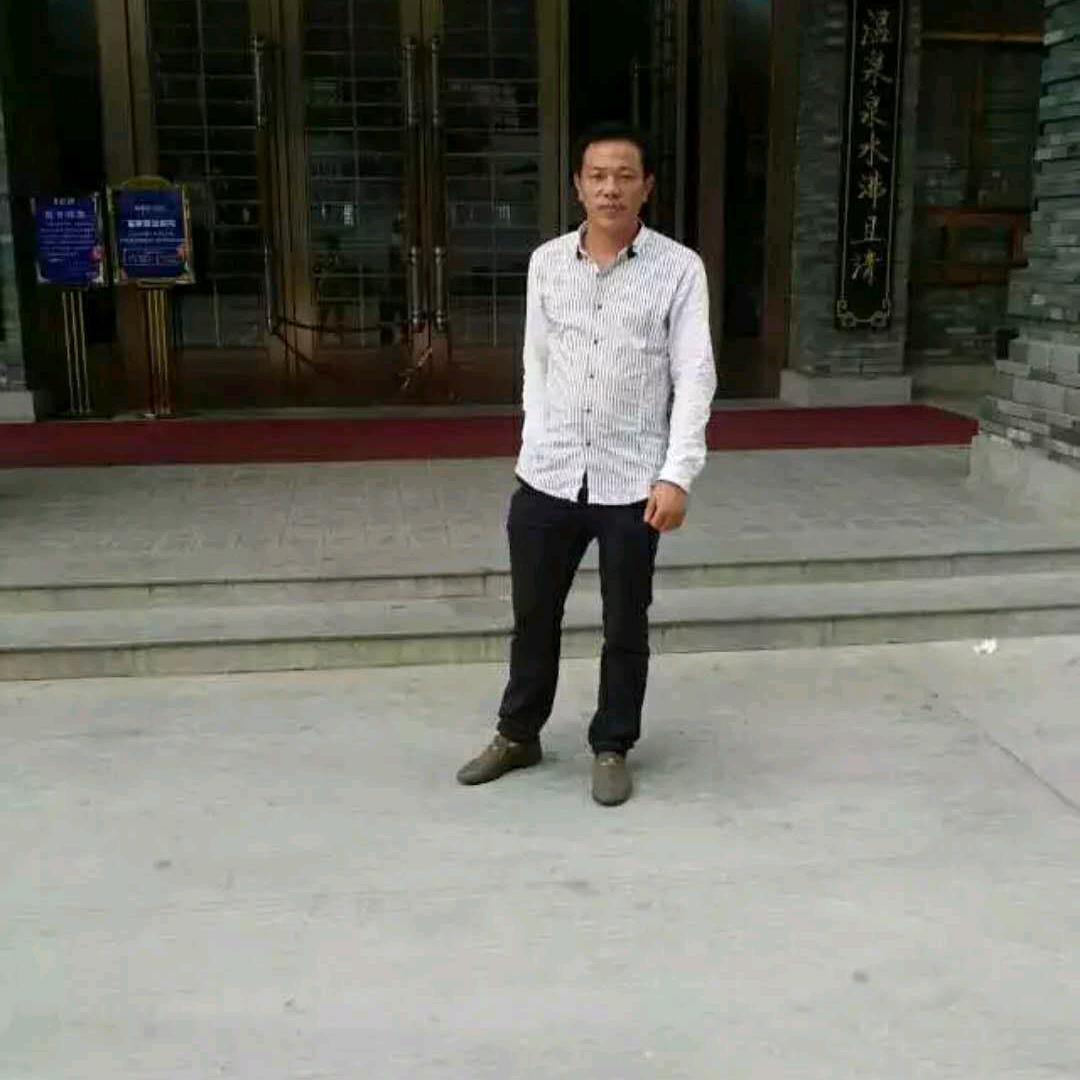 本哥看剧